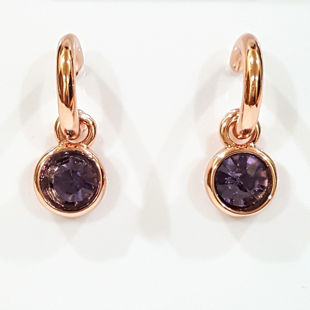 Rose Gold & Crystal Drop Earrings